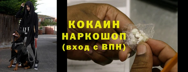 ГАЛЛЮЦИНОГЕННЫЕ ГРИБЫ Аркадак