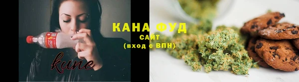 ГАЛЛЮЦИНОГЕННЫЕ ГРИБЫ Аркадак