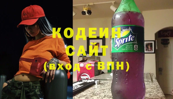 ГАЛЛЮЦИНОГЕННЫЕ ГРИБЫ Аркадак