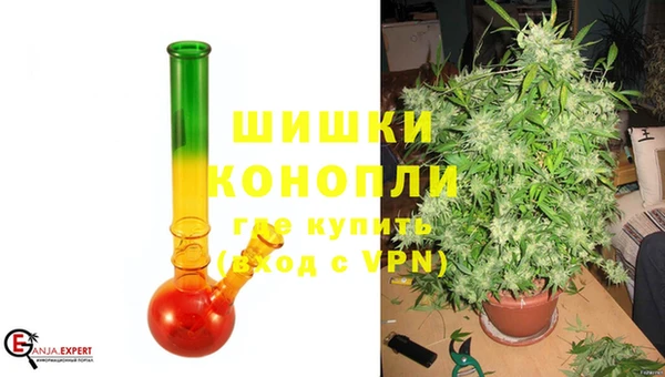 сатива Арсеньев