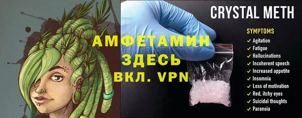 ГАЛЛЮЦИНОГЕННЫЕ ГРИБЫ Аркадак