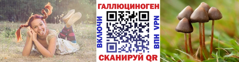 Галлюциногенные грибы прущие грибы  Сорочинск 